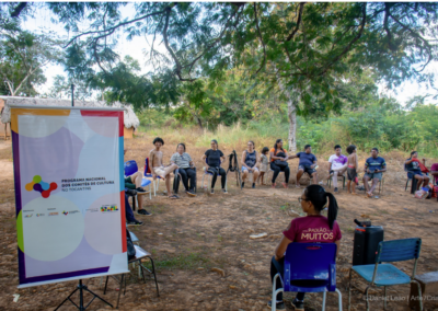 Captura de tela 2025-07-07 135406 - Comitê de Cultura do Tocantins